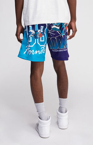 Mitchell & Ness Charlotte Hornets NBA Mesh Shorts | PacSun