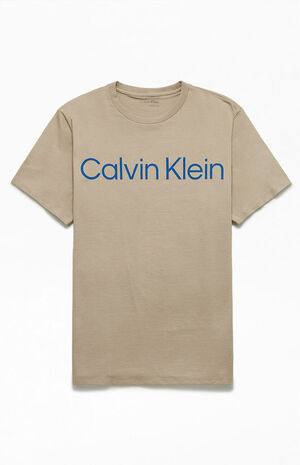 Calvin Klein Large Logo T-Shirt | PacSun