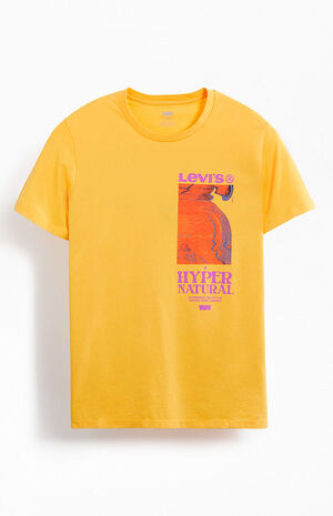 Levi's Classic Graphic T-Shirt | PacSun