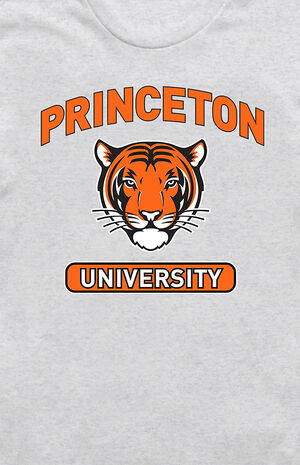 TSC Princeton University T-Shirt | PacSun