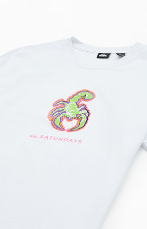 x | Graphic T-Shirt PacSun Quiksilver Saturdays NYC