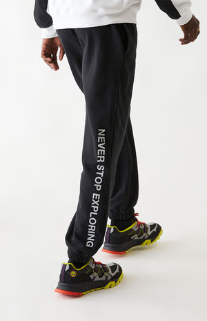 The North Face Box NSE Jogger Sweatpants | PacSun