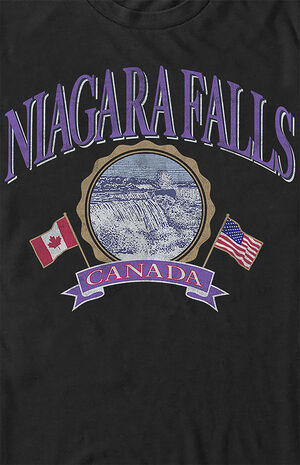 Niagara Falls T-Shirt | PacSun