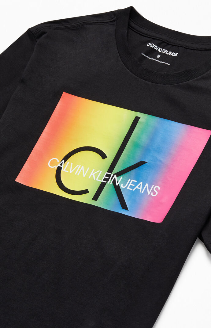 Calvin Klein Pride Heritage T-Shirt | PacSun