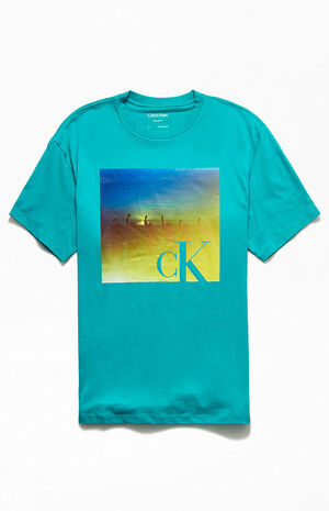 Calvin Klein Pride Relaxed Fit Sunset Graphic T-Shirt | PacSun