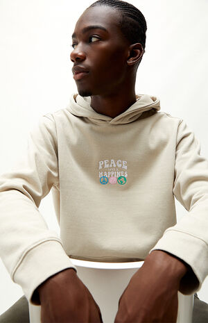 PacSun Recycled Embroidered Hoodie | PacSun