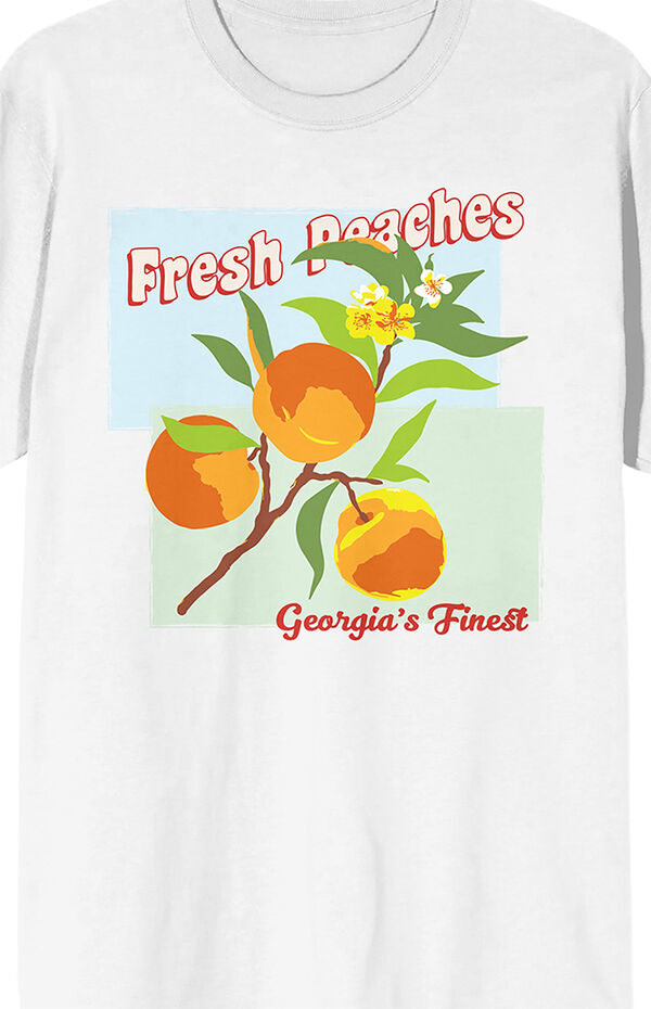 PacSun Natural World Fresh Peach T-Shirt | Foxvalley Mall
