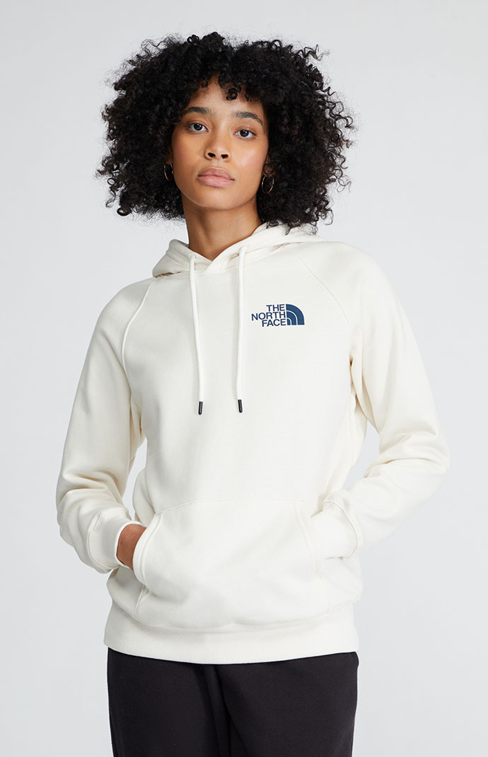 The North Face White Geo NSE Hoodie | PacSun